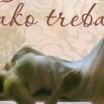 i_molicu_ako_treba-203×150