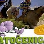 zatocenicaHawkaOtoolea-203×150