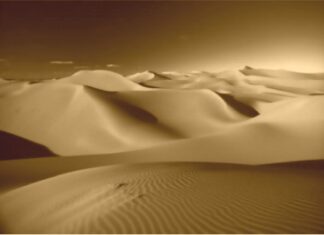 Čarolija u pustinji