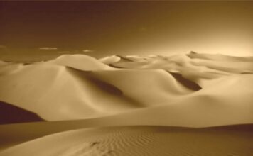 Čarolija u pustinji