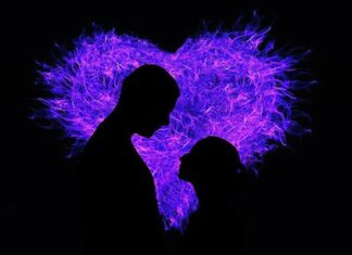 Prerušeni ljubavnik