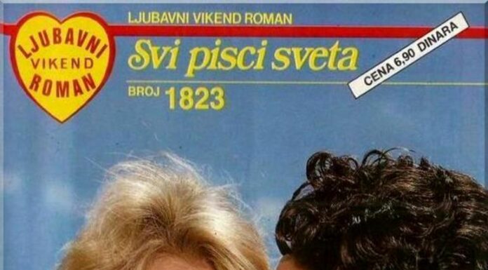 Davanje je uvek rizik Davanje je uvek rizik - ljubavni roman