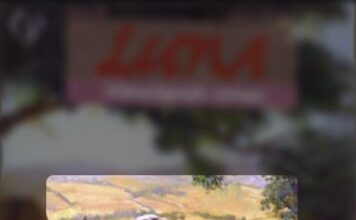 Ostvareni planovi Ostvareni planovi Iva Mili