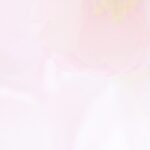 header-bg