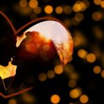 love-4822864_640