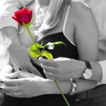 red-rose-1461043_640