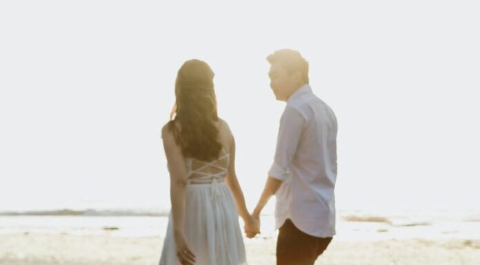 Bolan povratak kući Bolan povratak kući - ljubici online za čitanje