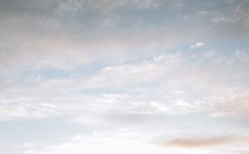 Mladalački zanos mladalački zanos - ljubavni roman