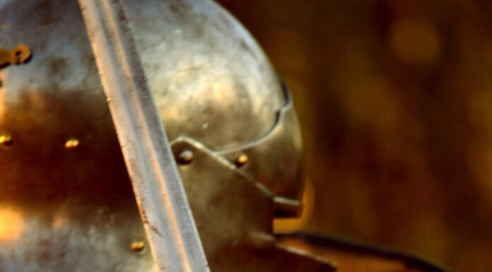 Vitez kralja Stefana knight armor