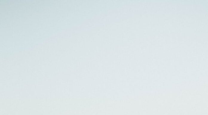 Bezbroj mogućnosti bezbroj mogućnosti - ljbuavni roman za online čitanje