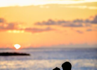 Raznežila si moje srce Raznežila si moje srce- ljubavni romani online za čitanje besplatno