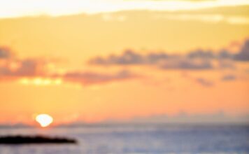 Raznežila si moje srce Raznežila si moje srce- ljubavni romani online za čitanje besplatno