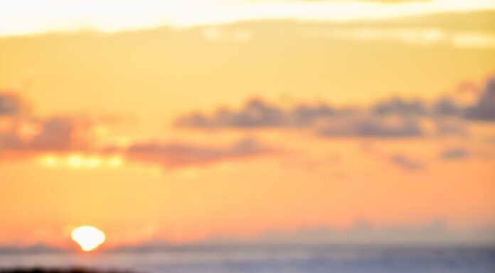 Raznežila si moje srce Raznežila si moje srce- ljubavni romani online za čitanje besplatno