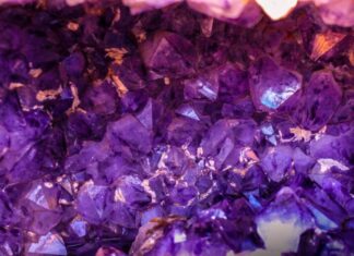 Kristalni vrtovi Kristalni vrtovi ljubavna knjiga Amanda Quick