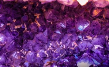 Kristalni vrtovi Kristalni vrtovi ljubavna knjiga Amanda Quick