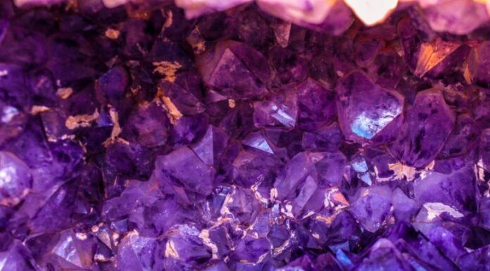 Kristalni vrtovi Kristalni vrtovi ljubavna knjiga Amanda Quick