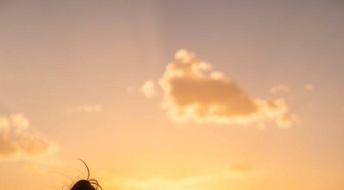 Čuvar mog srca Čuvar moga srca - ljubavni romani za čitanje odmah