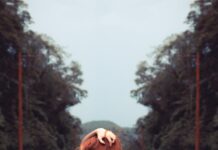 Noć ljubavi noć ljubavi - ljubavni romani online čitanje