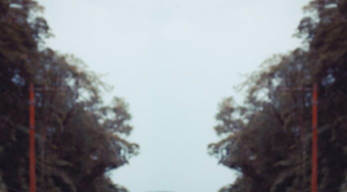 Noć ljubavi noć ljubavi - ljubavni romani online čitanje