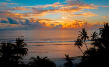 Žar ljubavi žar ljubavi - ljubavna knjiga