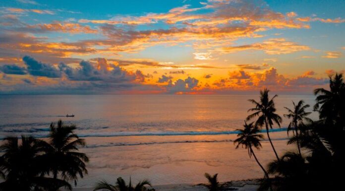 Žar ljubavi žar ljubavi - ljubavna knjiga