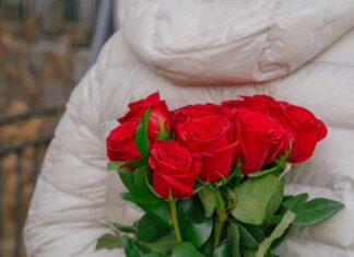 Hir srca Hir srca, besplatni ljubavni romani za čitanje odmah online