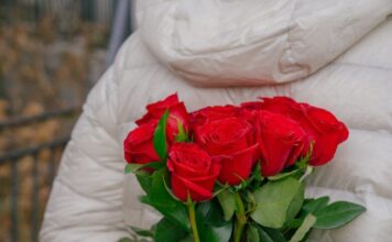 Hir srca Hir srca, besplatni ljubavni romani za čitanje odmah online