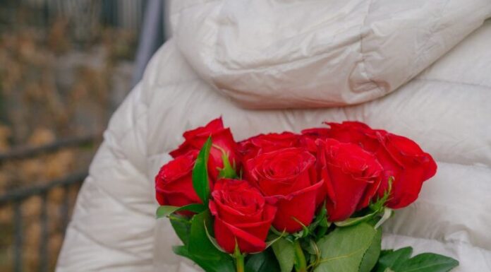 Hir srca Hir srca, besplatni ljubavni romani za čitanje odmah online