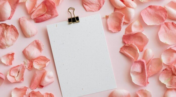 Recept za ljubav Recept za ljubav