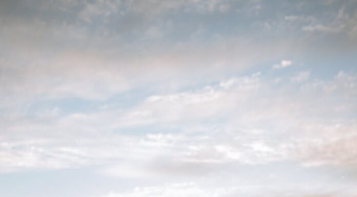 Zapleši sa mnom woman in white long sleeve shirt sitting on green grass field