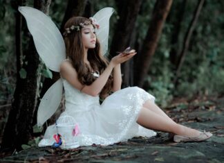 Posečena krila Posečena krila - ljubavni roman za čitanje odmah