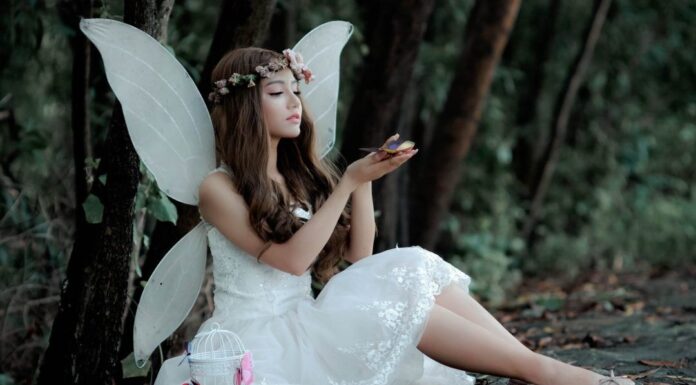 Posečena krila Posečena krila - ljubavni roman za čitanje odmah