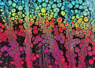 Pastorova žena Pastorova žena - knjiga pdf