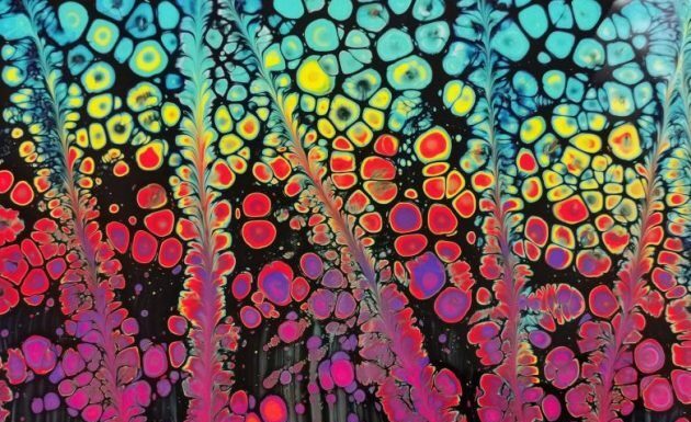 Pastorova žena Pastorova žena - knjiga pdf