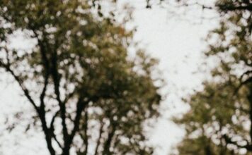 Izmedju ljubavi i požude