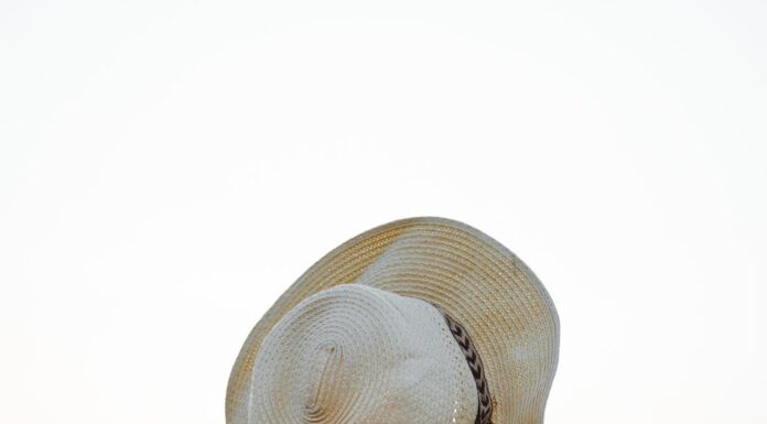 Vraćena usluga woman holding hat