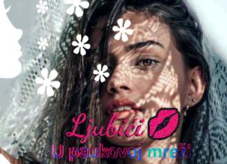 U mreži pauka U paukovoj mreži - ljubici online