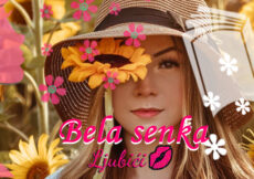 Bela senka