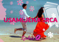 Usamljena srca