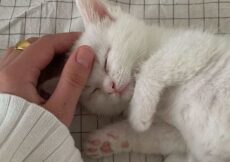 Ljubav nije dovoljna ako se sa reči ne prebaci na dela – evo kako je možete pokazati svojim voljenim osobama