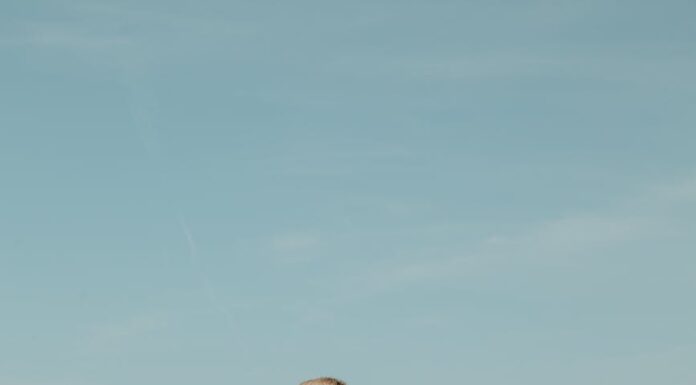 Do neba i nazad Do neba i nazad