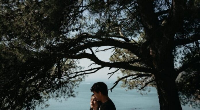 Grešna nevinost Grešna nevinost - ljubavni roman