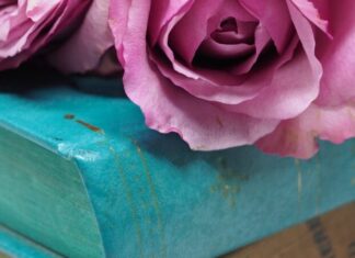 Nepristojna, Nedostižna, Nedostojna