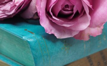 Nepristojna, Nedostižna, Nedostojna