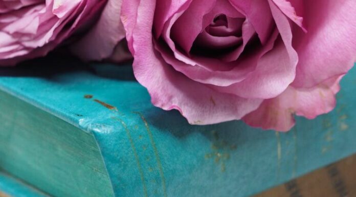 Nepristojna, Nedostižna, Nedostojna