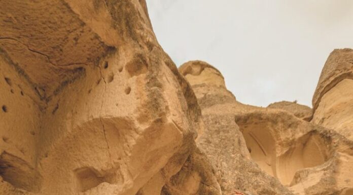 Pustinjska princeza Pustinjska princeza - ljubavni roman