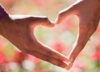 Slobodna leptirica Slobodna leptirica - ljubavni romani online