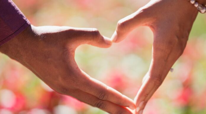 Slobodna leptirica Slobodna leptirica - ljubavni romani online