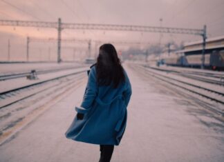 Ludi voz ludi voz - ljubavni romani za čitanje online