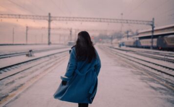 Ludi voz ludi voz - ljubavni romani za čitanje online